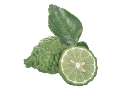 Bergamot