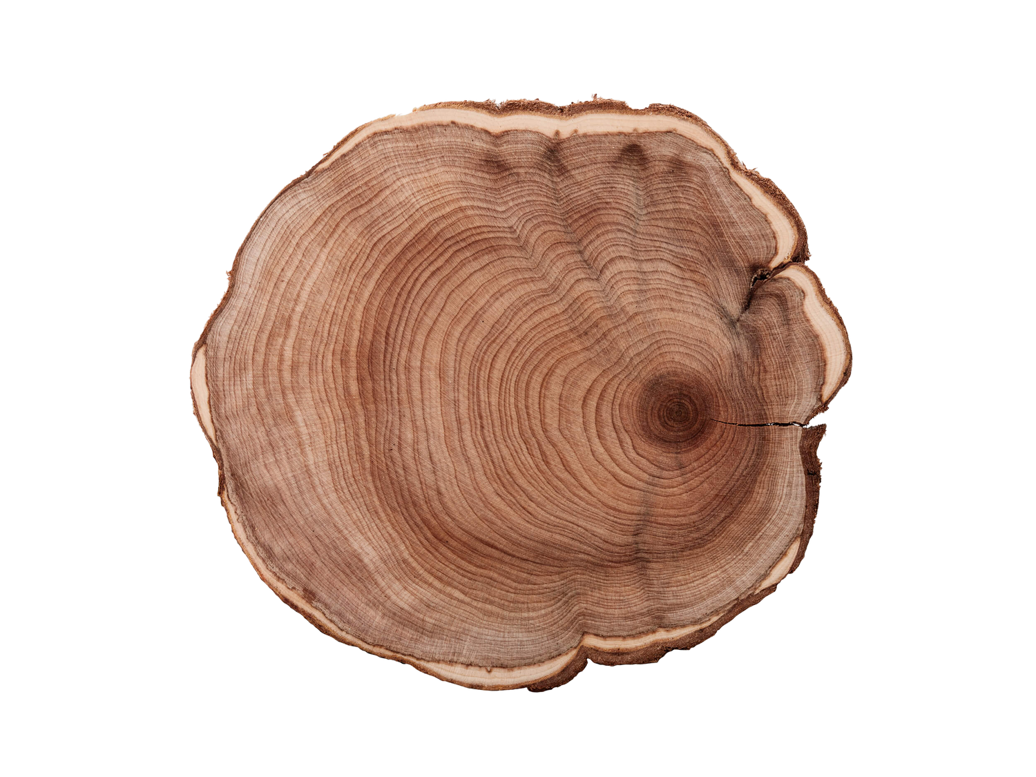 Cedarwood